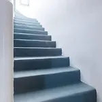 Vinea Santorini *