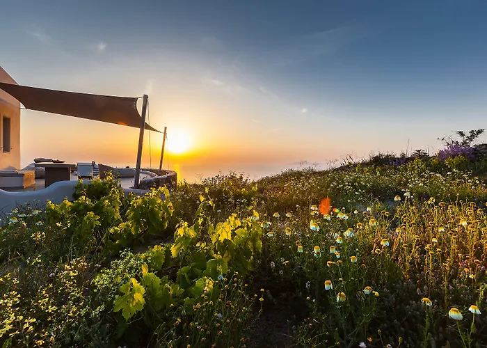 Vinea Santorini * Imerovigli