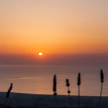 Vinea Santorini *