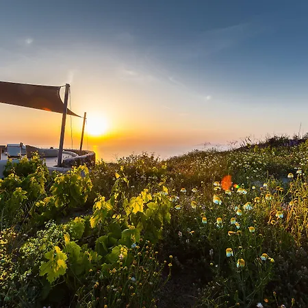 Vinea Santorini * Imerovigli (Santorini)