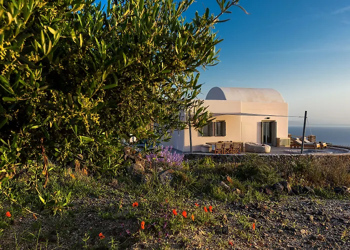 Vinea Santorini Имеровигли