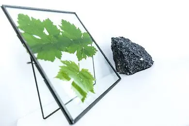 Vinea Santorini إيميروفيغلي